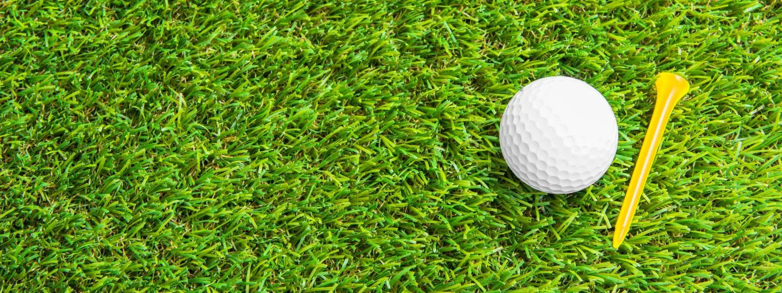 The Essex -  Seniors Charity Day