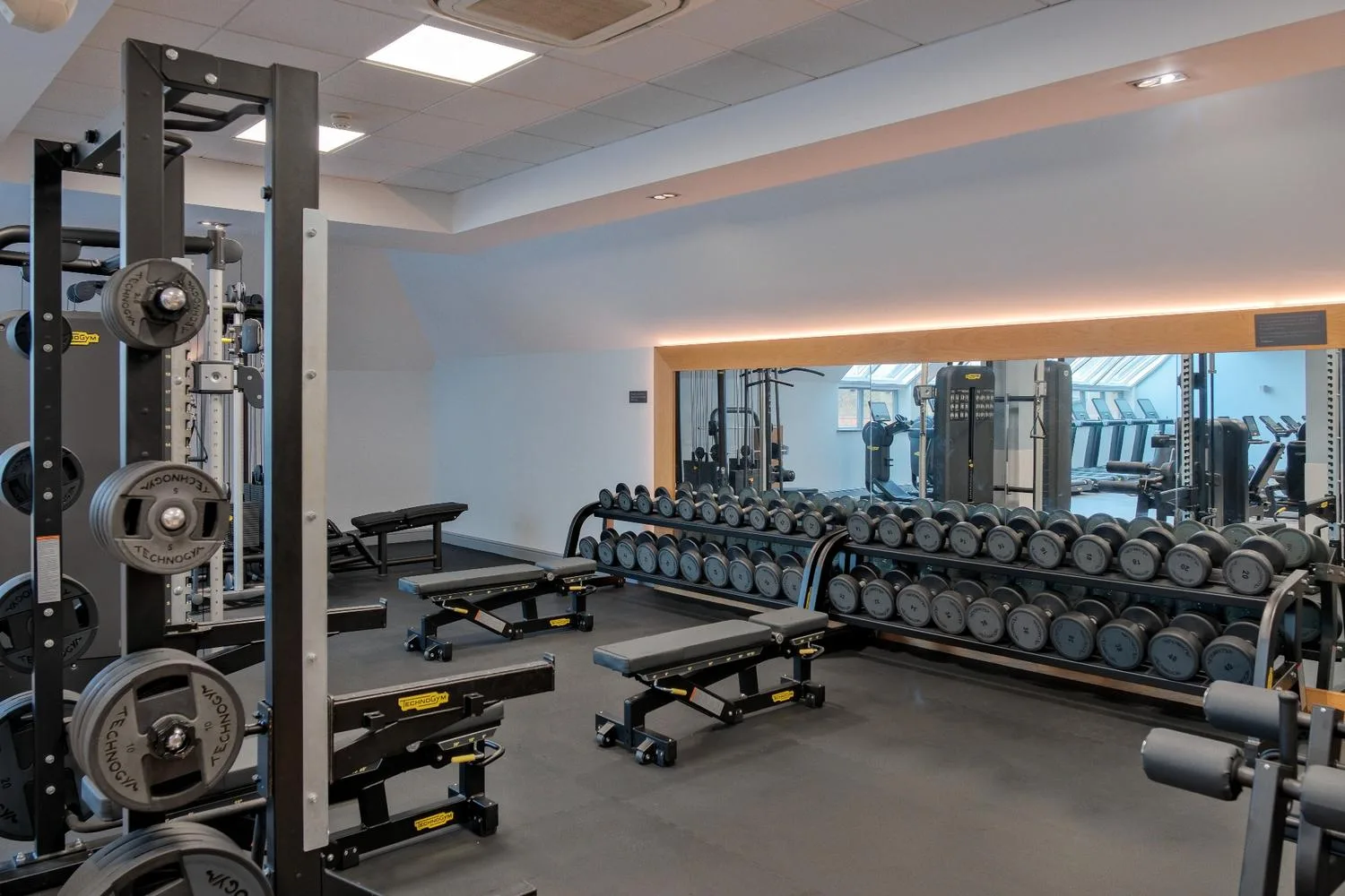 Free weights area