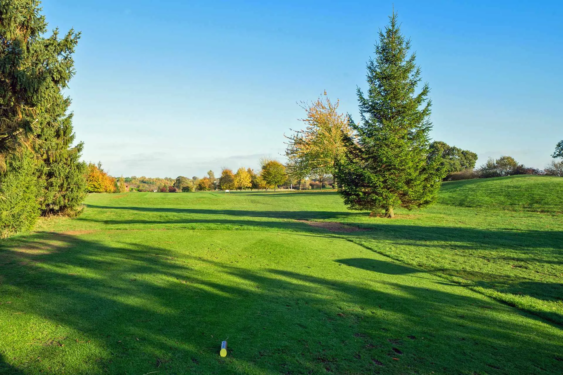 Future-Proofing - Our Beautiful Courses